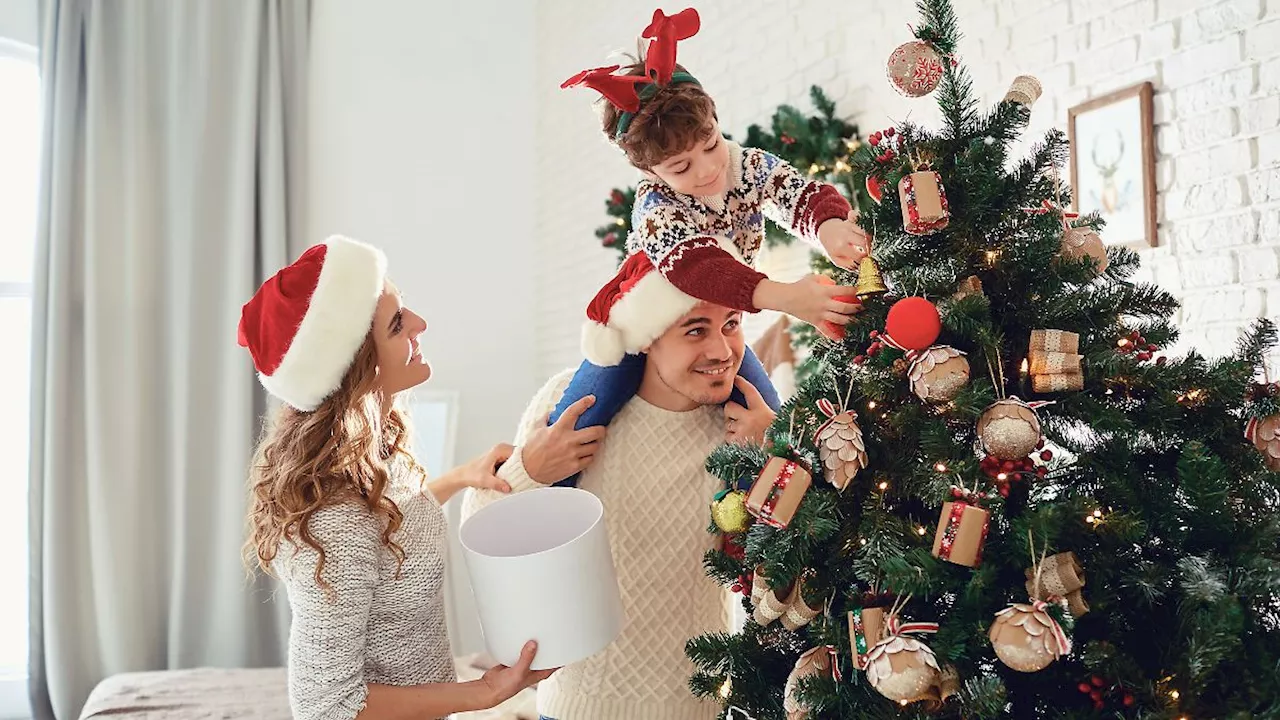 Weihnachtsbaum-Haltbarkeit: Experte verrät, wie die Tanne länger schön bleibt