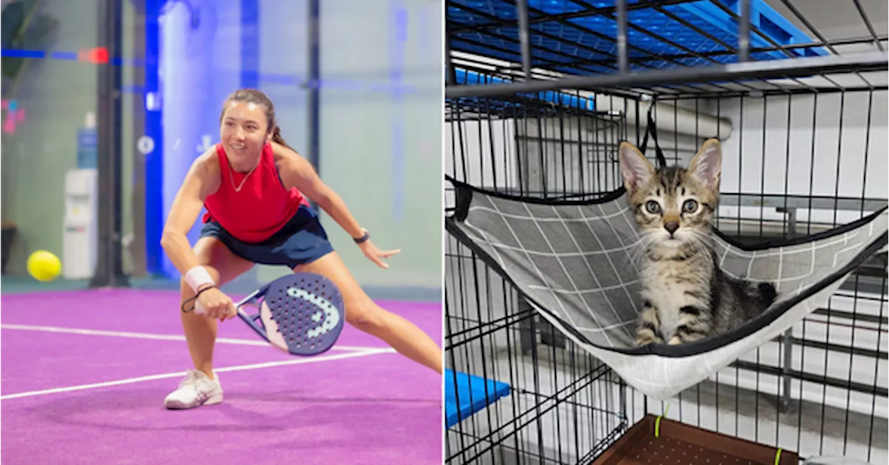 Padel For A Cause: Raise Funds For Strays On 21 December By Playing Your Favourite Sport