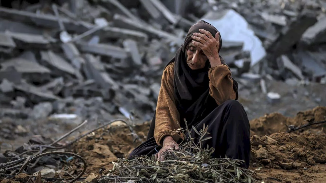 'Treated as subhuman': Amnesty International accuses Israel of genocide