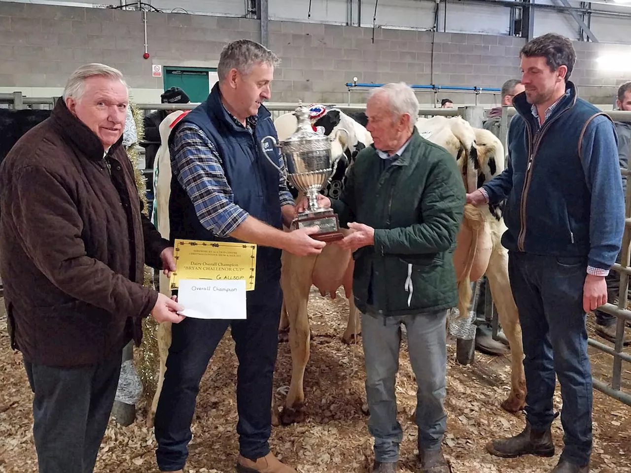 Shrewsbury’s Christmas cracker dairy show and sale offers £1,600 prizemoney