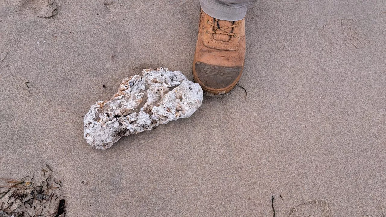 Mysterious ball-shaped debris found on beach in Sydney’s south