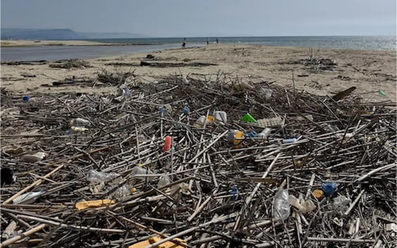 Ecomafie, 900mila reati ambientali in Italia in 30 anni: i dati Legambiente