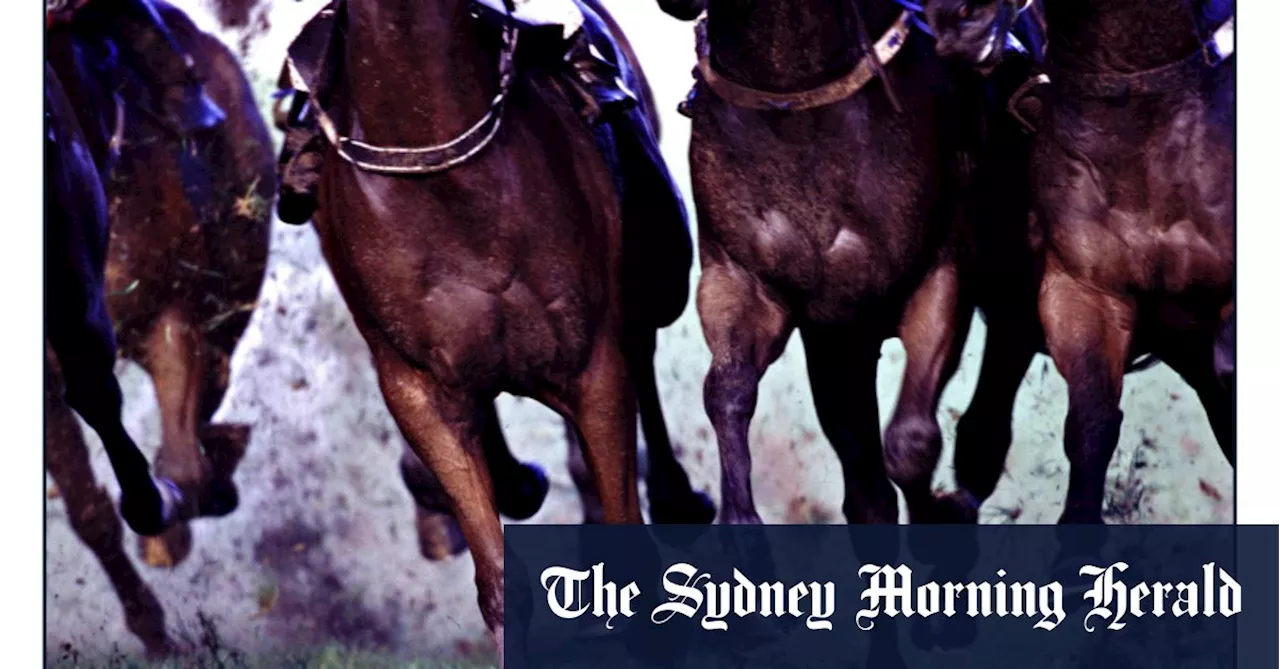 Race-by-race preview and tips for Friday’s meeting at Randwick Kensington