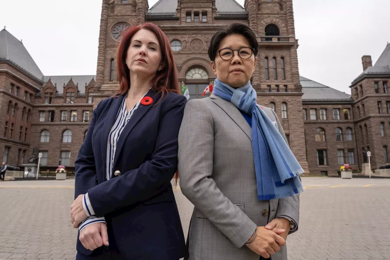 'Insulting': Intimate partner violence study cut short as Ontario eyes early election