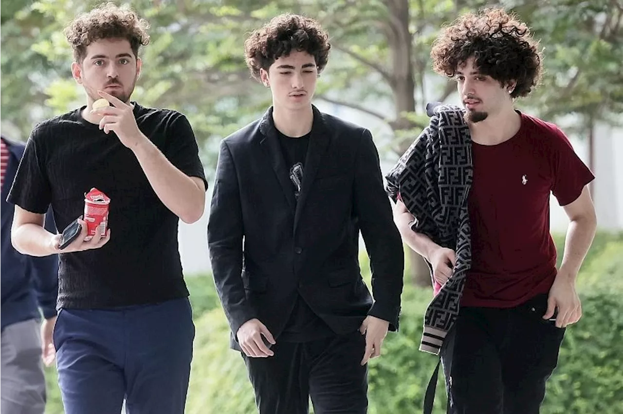 Three American brothers plead guilty to being armed with knives at Orchard Plaza