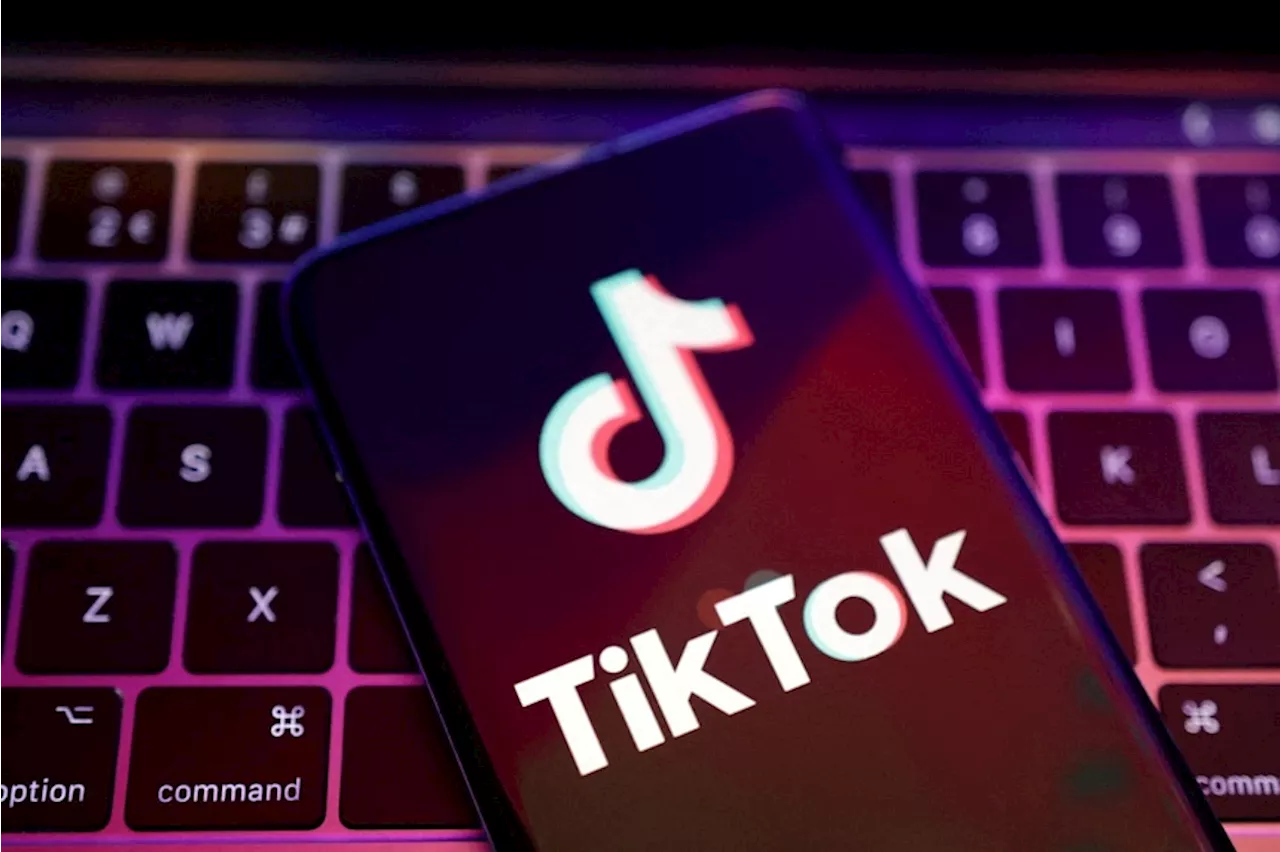 TikTok Triples US Shopping Sales to Over $100 Million on Black Friday