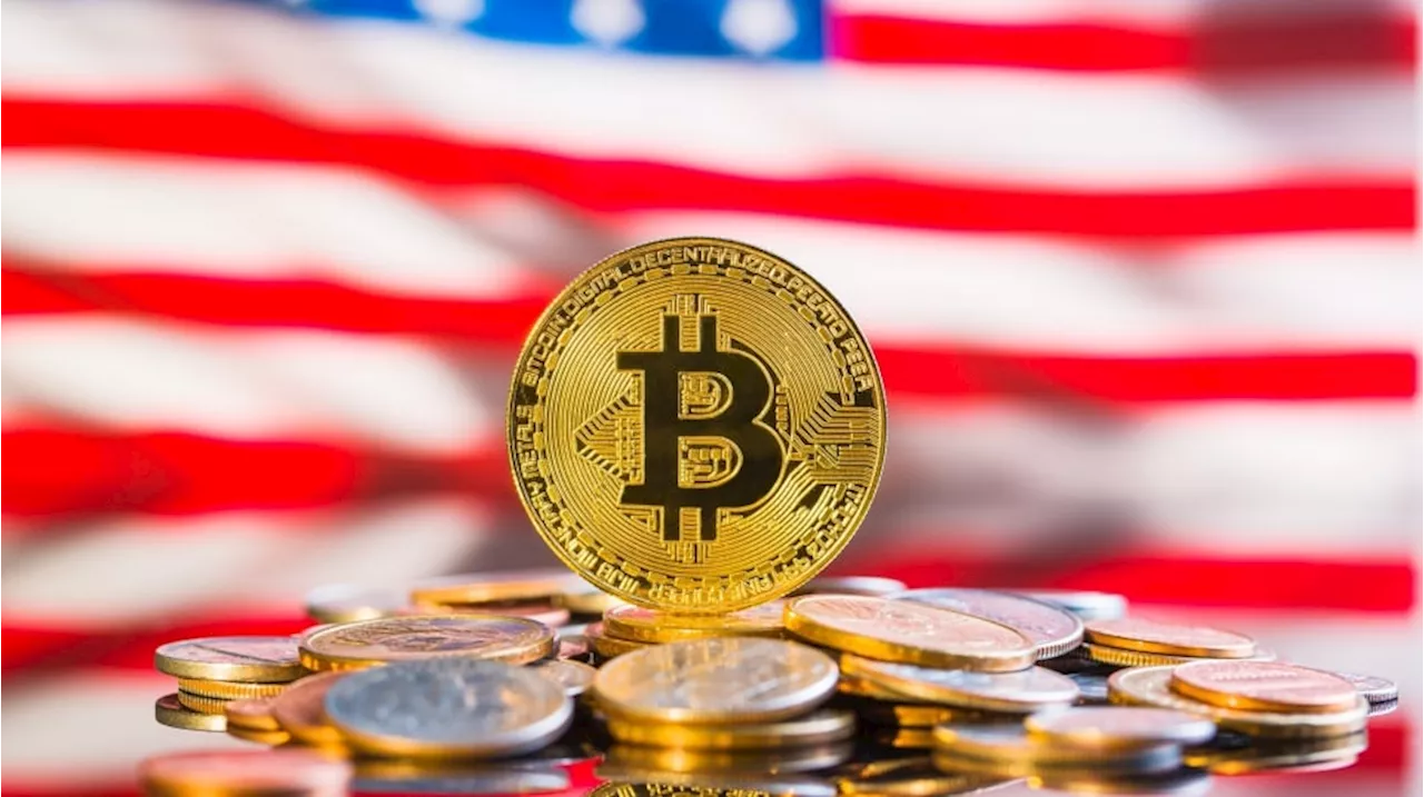 Harga Bitcoin Rp3,1 Miliar di 2025? Analis Prediksi Pengaruh Trump Hingga Halving BTC