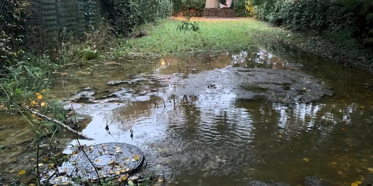 Bassin d’Arcachon : une pétition pour refuser le déversement des eaux usées dans la nature