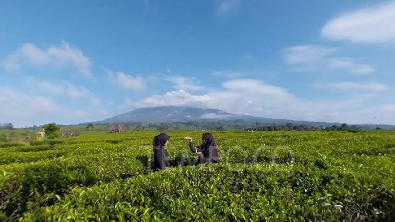 Pendekatan Keruangan: Pengertian, Jenis-Jenis, dan Contohnya