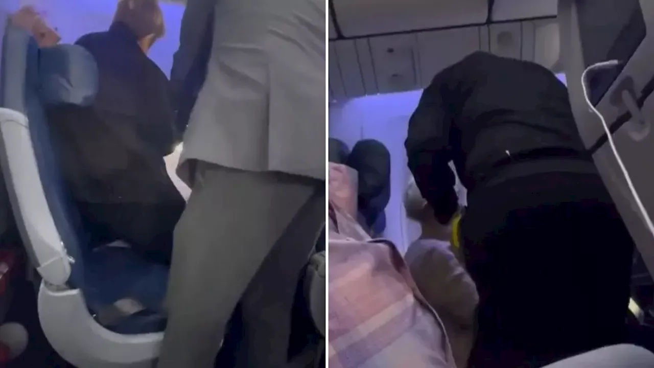 Russian Stowaway Deported After Sneaking onto Flight