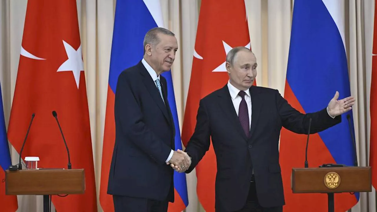 Erdogan to Putin: Syrian regime must engage in political solution process