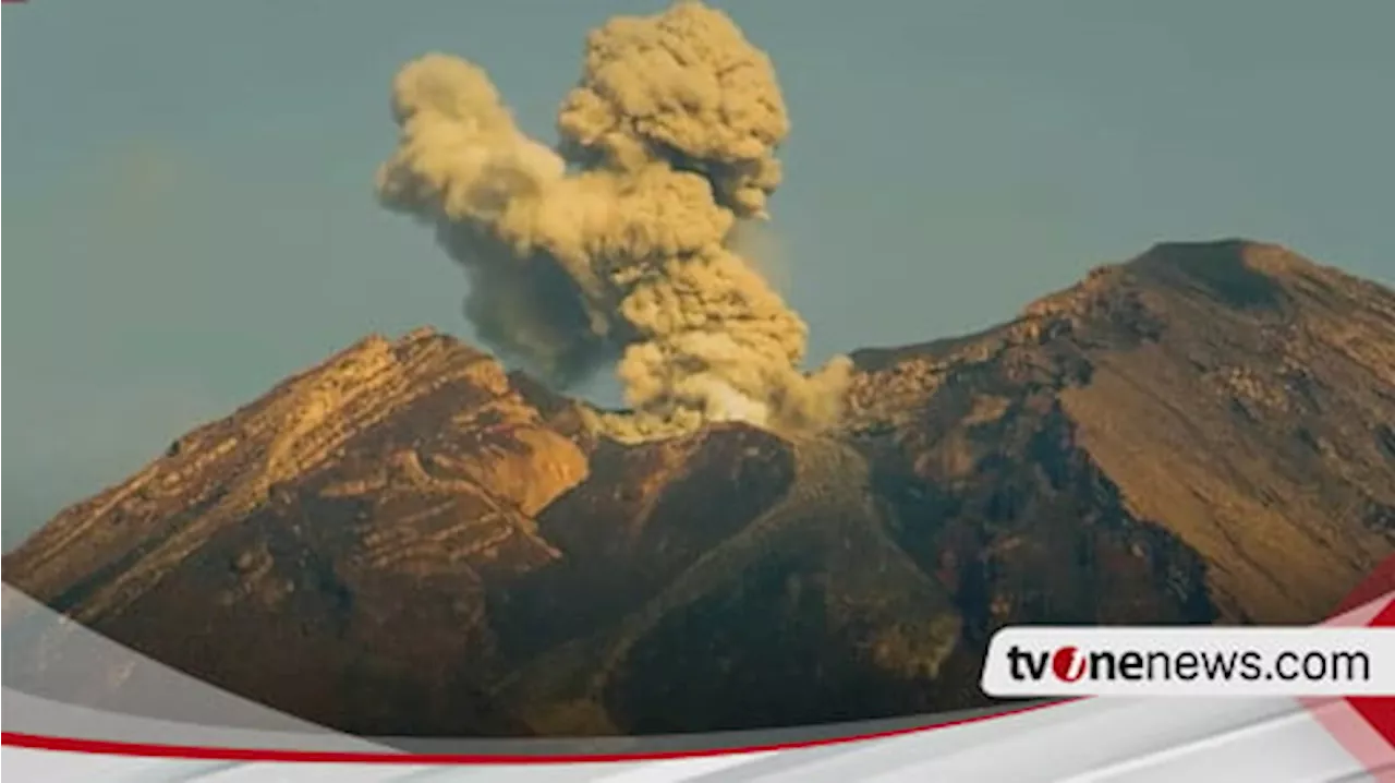 Gunung Semeru Erupsi Semburkan Kolom Abu Setinggi 700 Meter, BPBD : Waspada Potensi Erupsi Susulan