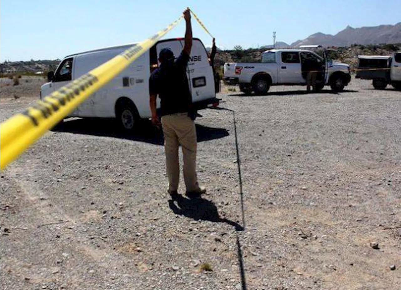 No cede violencia en Sinaloa, encuentran siete cuerpos en San Ignacio