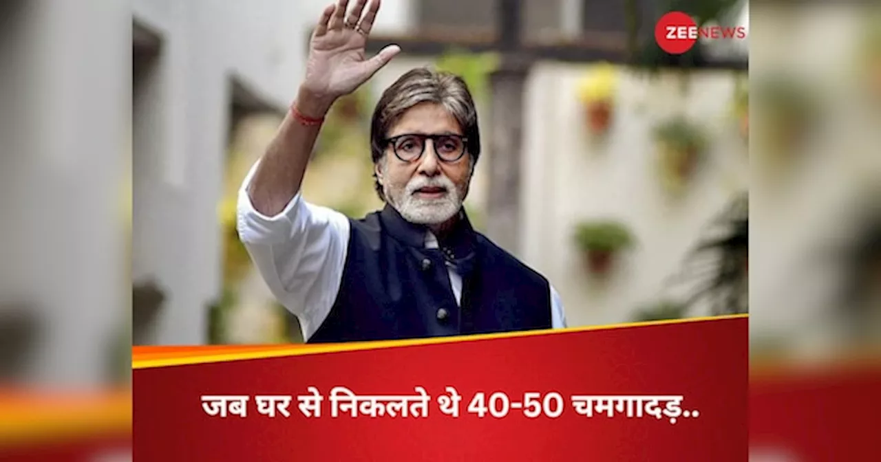 जब अमिताभ के घर में घुस गए थे 40-50 चमगादड़, उन्हें निकालने के लिए Big B ने किया था ये जुगाड़; आपके भी आ सकता है काम