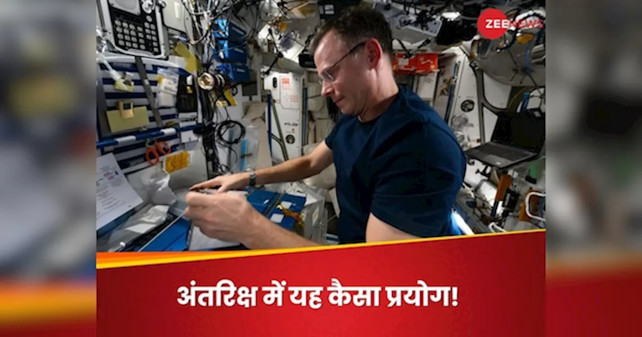 स्पेस स्टेशन पर काई क्यों उगा रहे एस्ट्रोनॉट? NASA की फ्यूचर प्लानिंग जानकर दंग रह जाएंगे