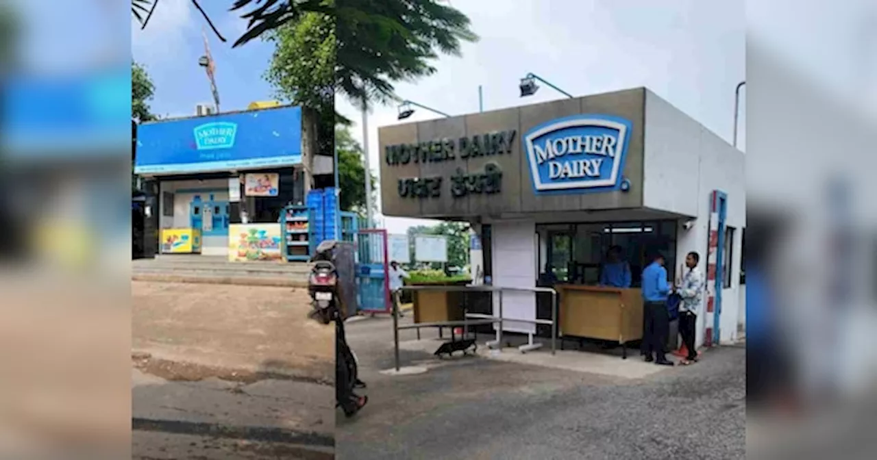 Mother Dairy: सिर्फ दूध-दही नहीं मदर डेयरी अब बेचेगा आटा और गुड़ भी, सालभर में आईक्रीम से कर ली 500 करोड़ की कमाई