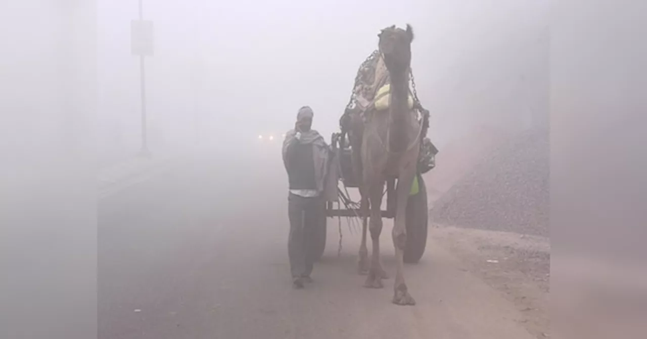 Rajasthan Weather Update: राजस्थान में सर्द हवाओं ने बढ़ाई कंपकंपी! 3.5 डिग्री तक लुढ़का पारा, जानें मौसम का ताजा हाल