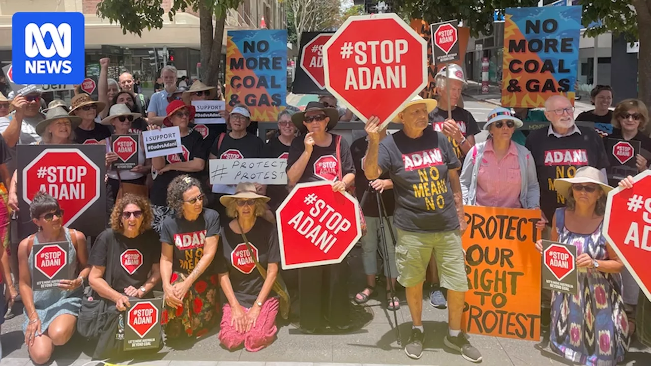 Environmental Activist Claims 'Major Win' Against Adani in Supreme Court