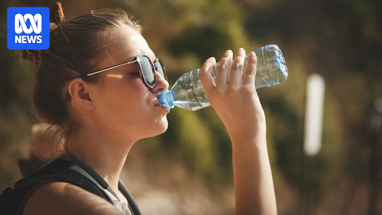 How much water should you drink on a hot day, and do cold drinks really cool you down?