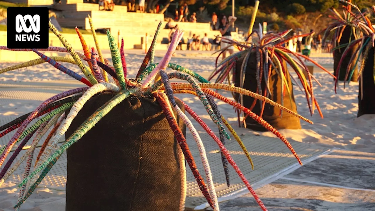 Perth's Sculpture By The Sea to get $1.5 million federal bail-out, but organisers say it's too late for 2025