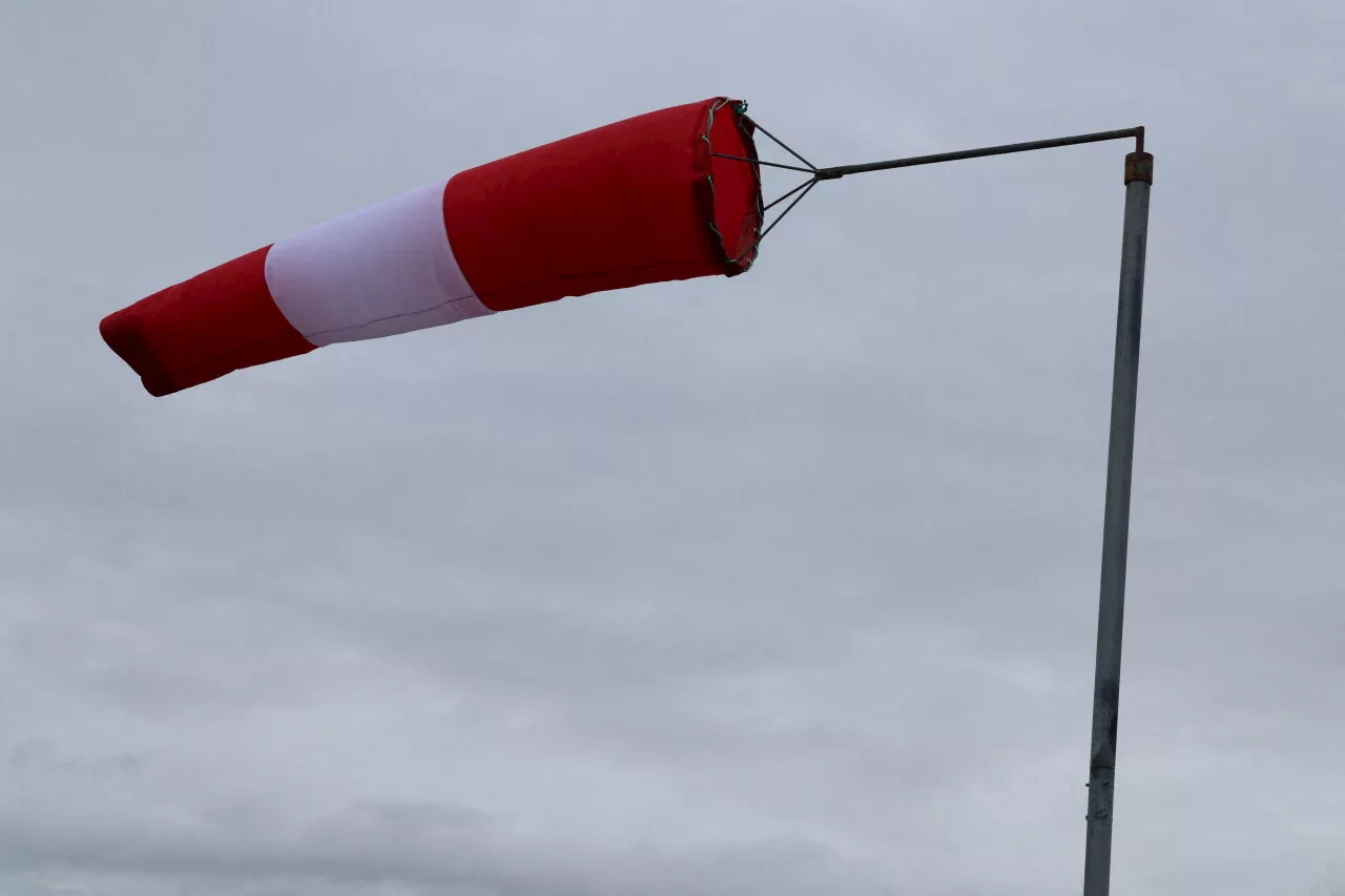 Tempête Darragh : l'Oise placée en vigilance jaune, des fortes rafales de vent annoncées