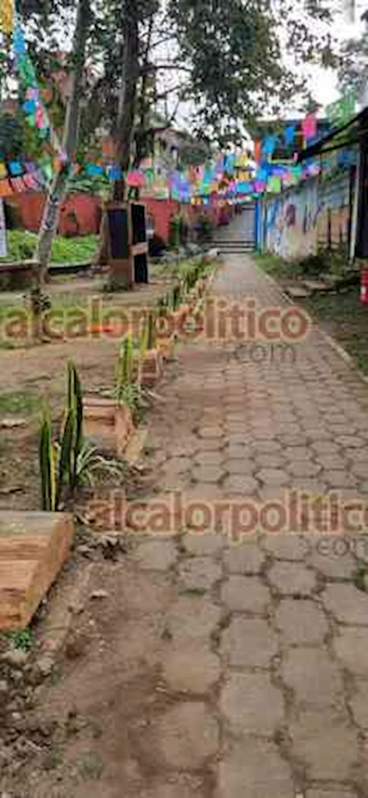 Vecinos transformaron el parque La Granja, en Coatepec