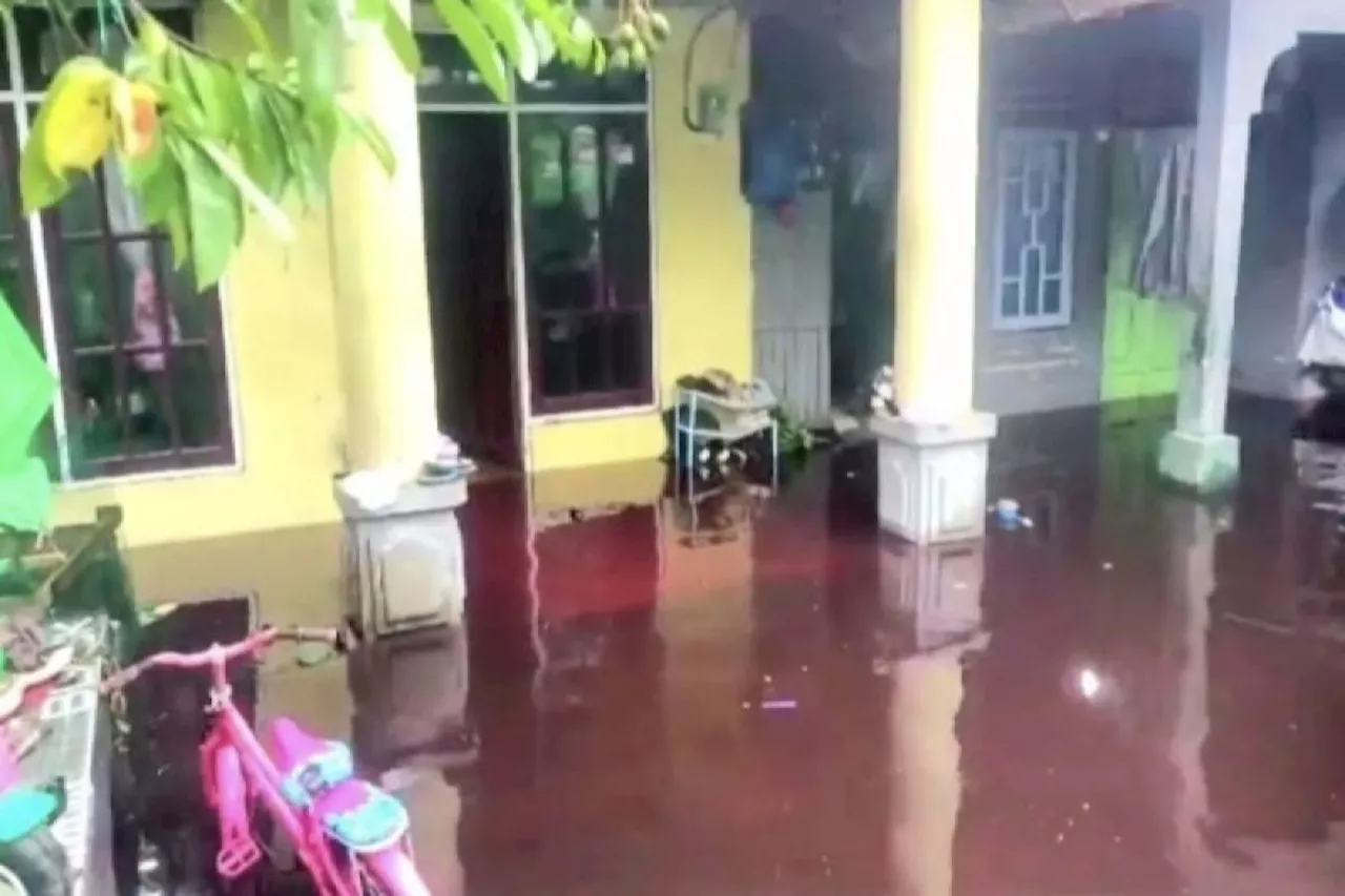 BPBD pantau perkembangan banjir di wilayah selatan Kotim