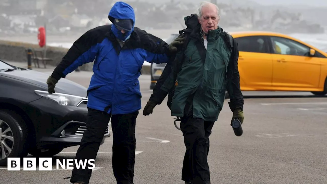 Storm Darragh: Warnings across Devon and Cornwall