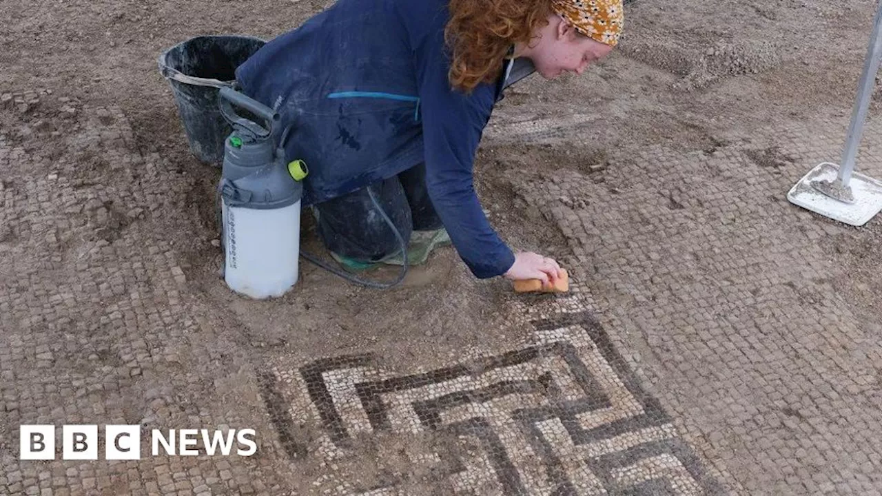 Wiltshire dig reveals luxury Roman villa with bath house