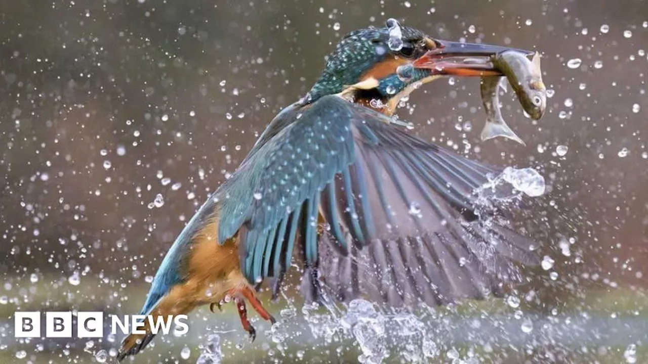 Your pictures of Scotland: Photographs from around the country