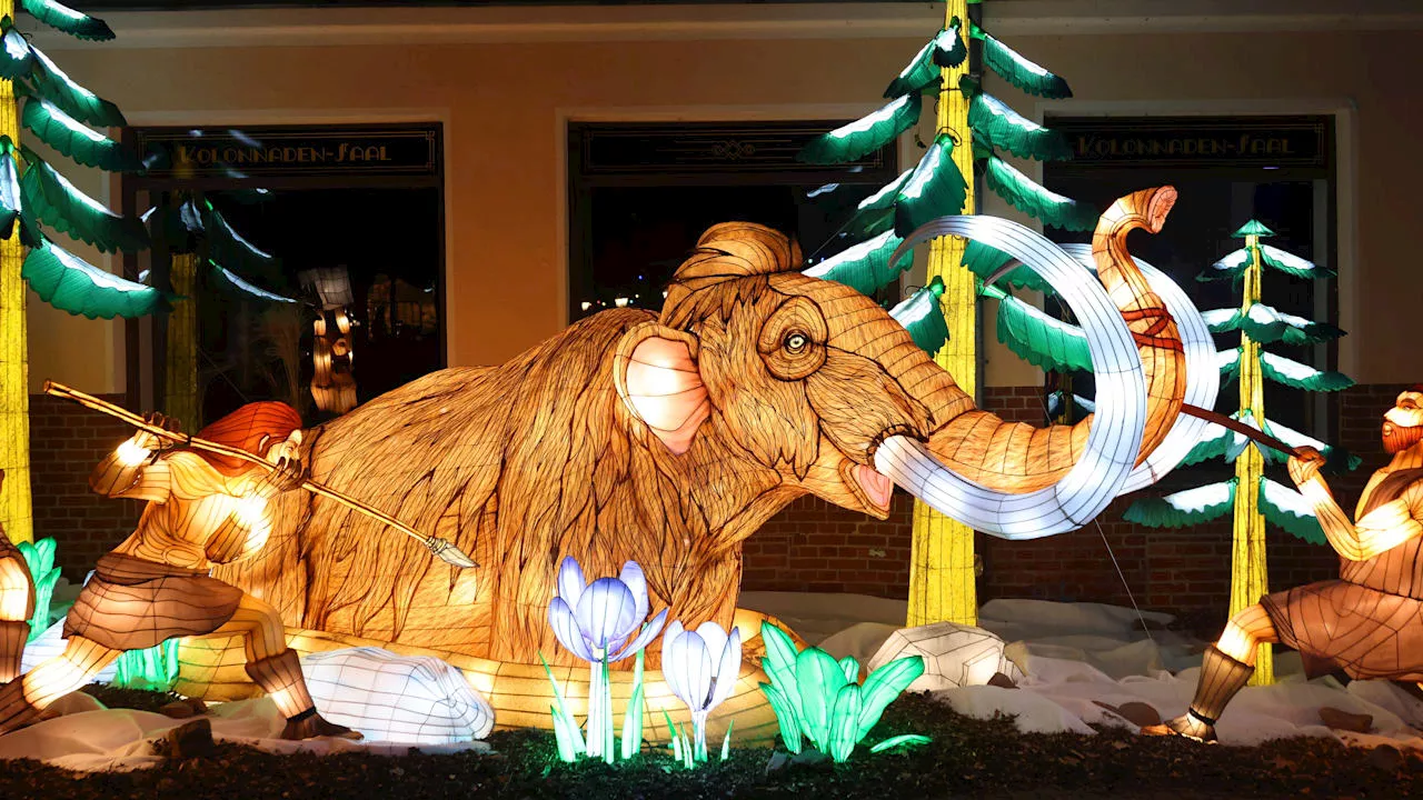 Magische Lichterwelten im Bergzoo Halle: Erster Blick auf die Kunstwerke