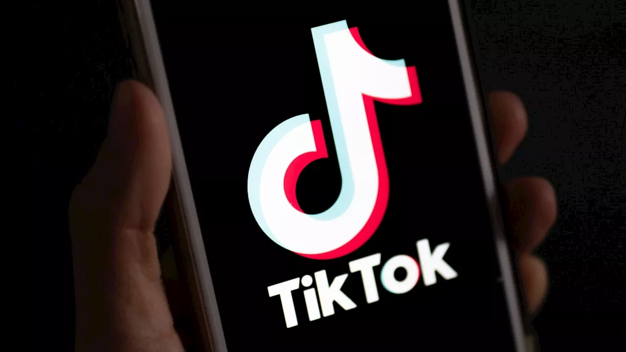 TikTok-Verbot in den USA: Berufungsgericht weist Klage ab