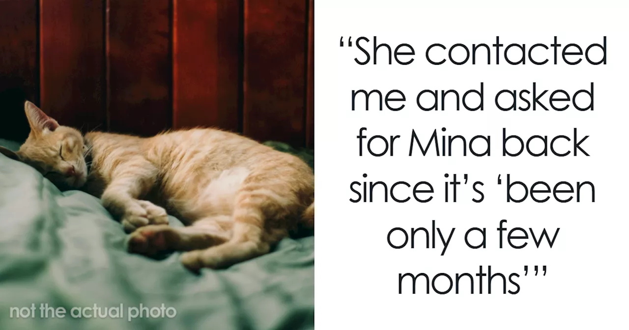 “It's Now Your Cat': People Back Woman Who Refuses To Return Cat She Adopted From Friend