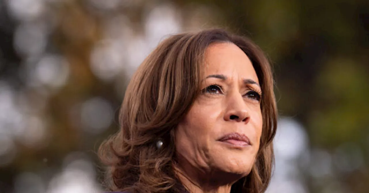 Kamala Harris at Holiday Party: ‘Nothing Can Defeat Our Purpose’