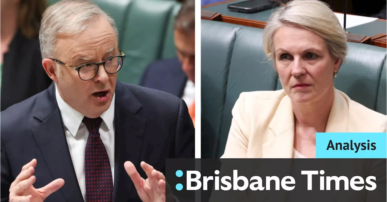 Plibersek made a vow on environmental reforms. Albanese has put that at risk