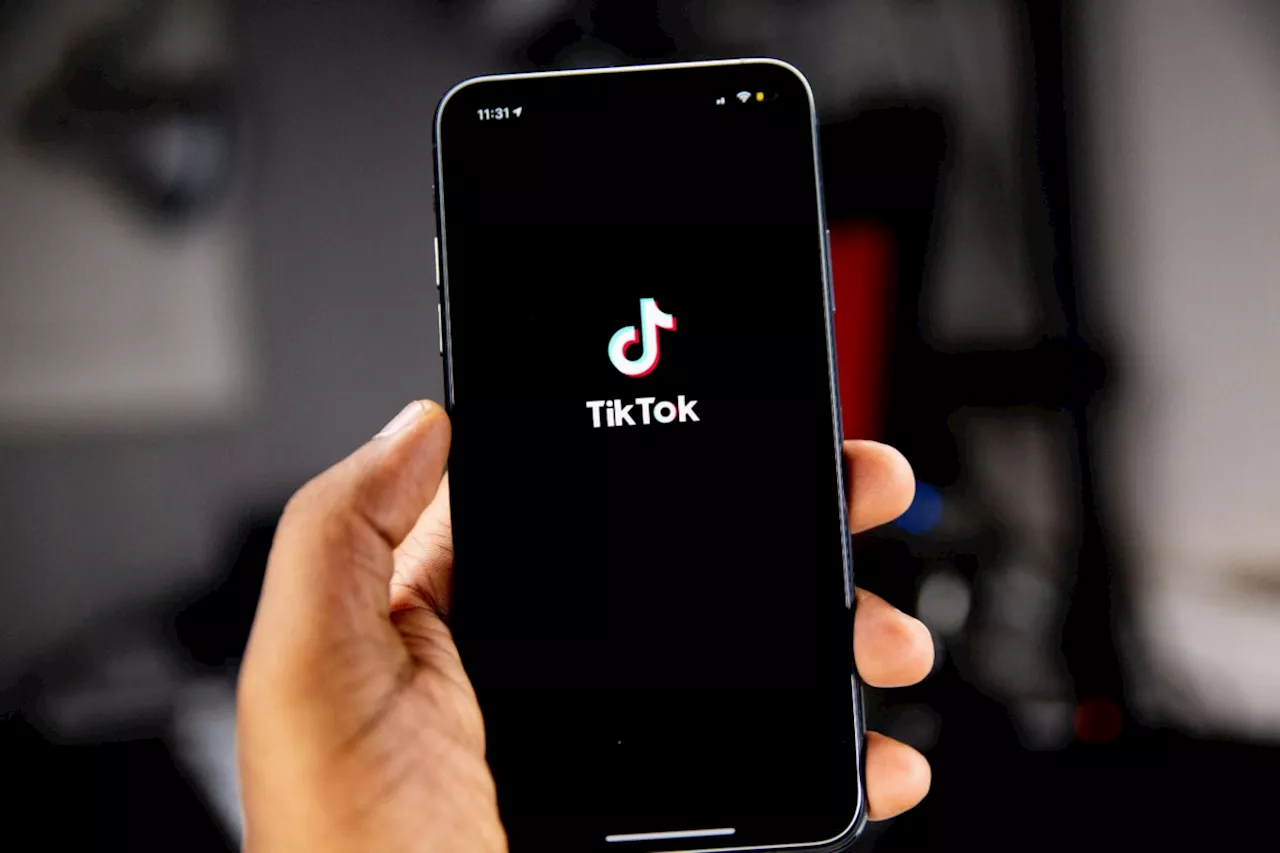 TikTok is a swamp of bad financial advice, and experts are fighting back