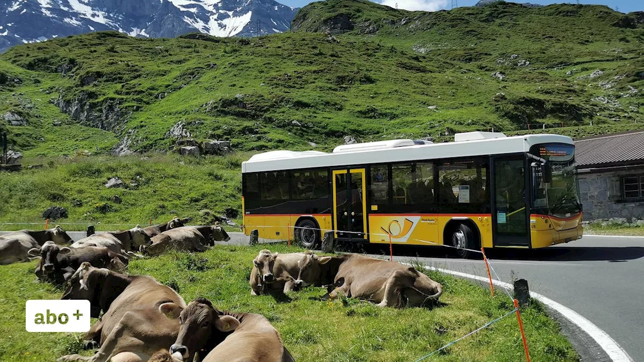 Postauto: Kartenzahlung per Busfahrer ab nächstem Jahr möglich