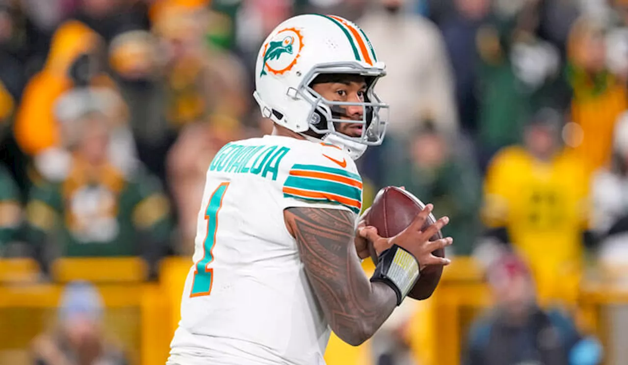 Jets vs Dolphins Predictions and Picks for NFL Week 14