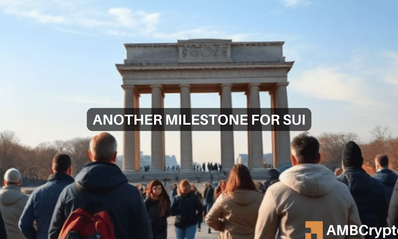 Sui Network Sets New Records With All-Time High TVL and ATH Price