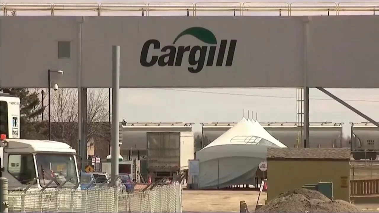 Beef worker union says no sign of layoffs yet at Cargill plant in High River