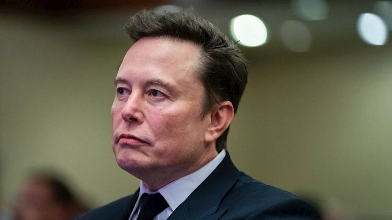 Elon Musk and Vivek Ramaswamy Attend Meeting on Trump's DOGE Initiative