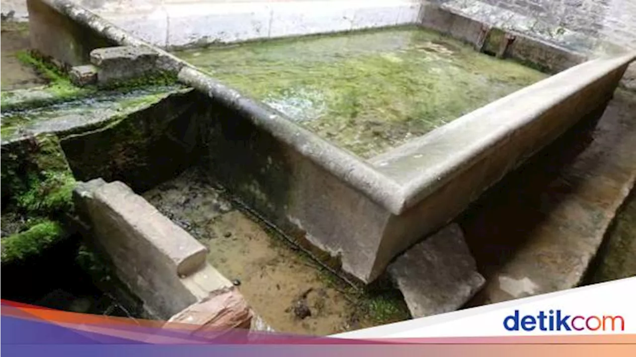 6 Cara Menghilangkan Lumut di Kolam Beton, Anti Ribet dan Ekonomis