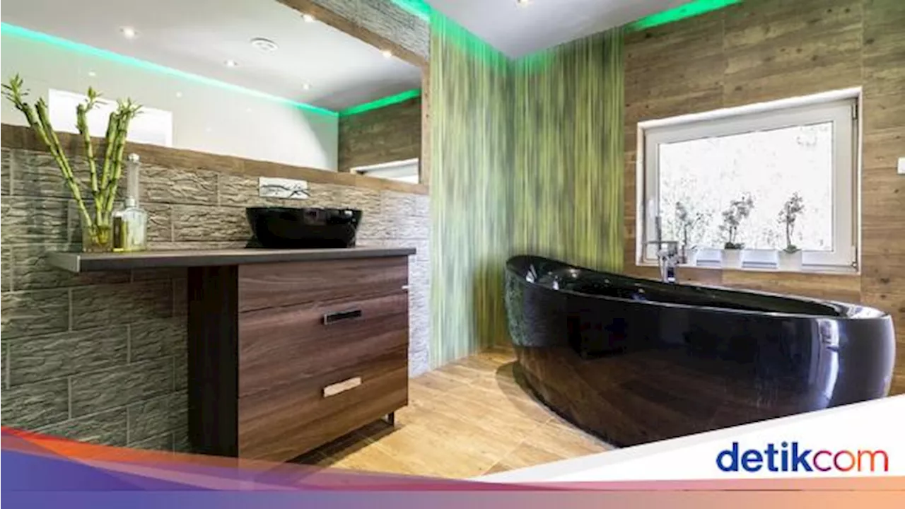 Punya Banyak Manfaat, 5 Tanaman Hias Ini Cocok Diletakkan di Kamar Mandi