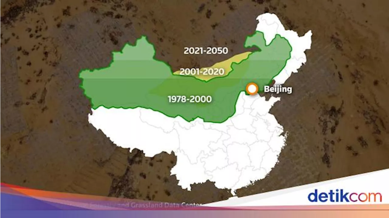 Tanam Pohon Selama 46 Tahun, China Sulap Gurun Kering & Panas Jadi Hutan