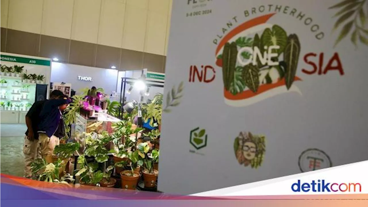 Tanaman Hias RI Siap Kuasai Pasar Global, Ini Strateginya