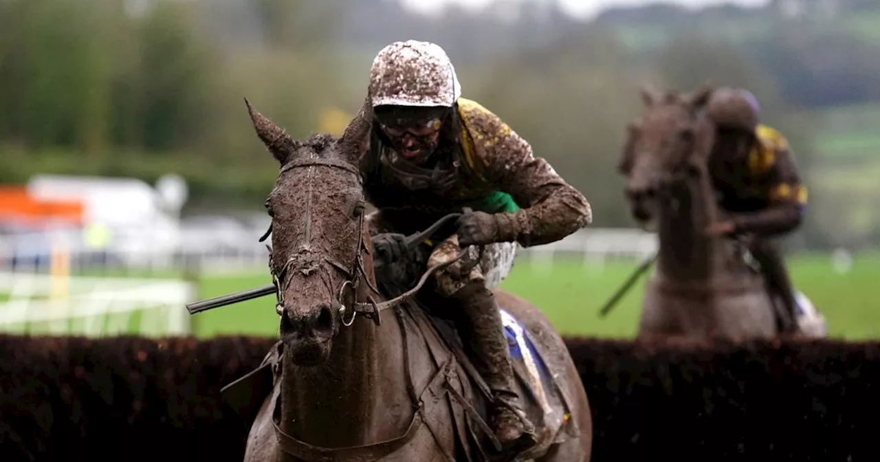 Horse Power: Iron Bridge can win the Becher Chase at Aintree Racecourse