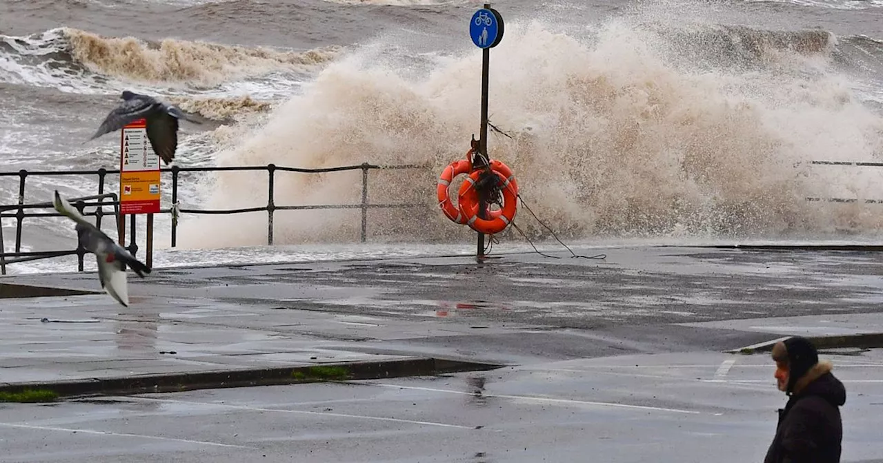 Storm Darragh advice as Met Office gives five ways to stay safe