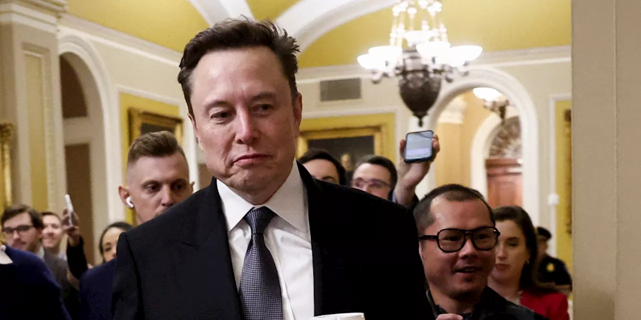 Musk se reúne con congresistas para discutir recortes de presupuesto en Estados Unidos