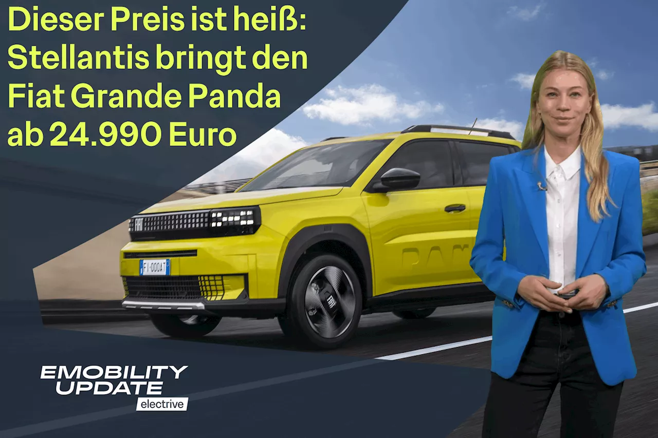 Unter 25.000 Euro: Fiat Grande Panda ab sofort in Deutschland bestellbar