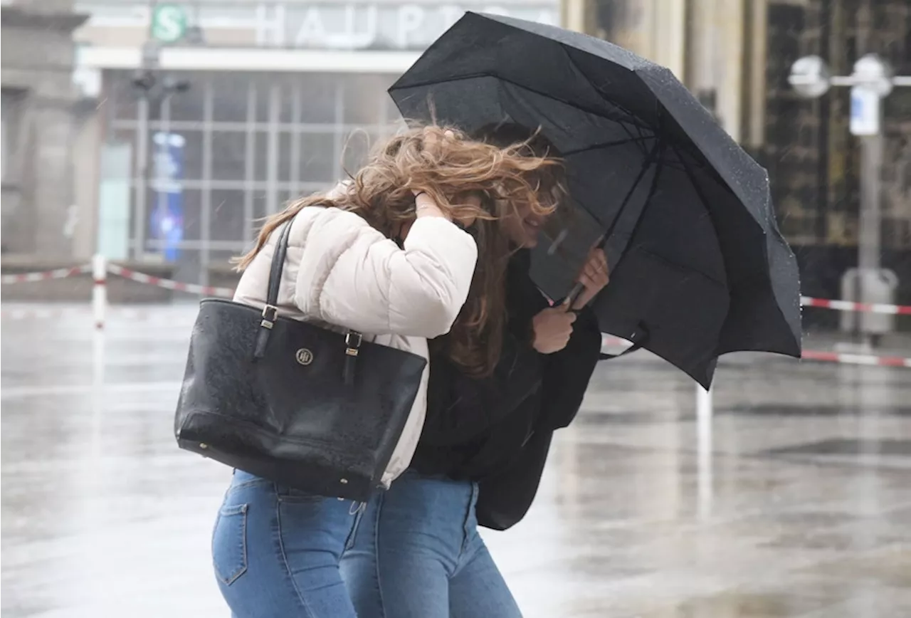 Wetter in Köln: Amtliche Warnung vor Sturmböen am Freitag